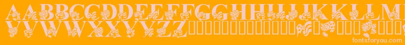 LmsAmericaLsf Font – Pink Fonts on Orange Background