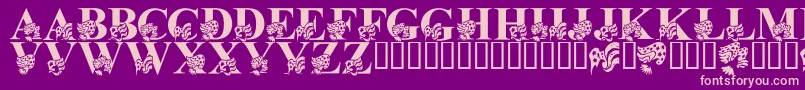 LmsAmericaLsf Font – Pink Fonts on Purple Background