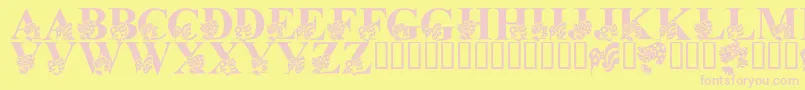 LmsAmericaLsf Font – Pink Fonts on Yellow Background