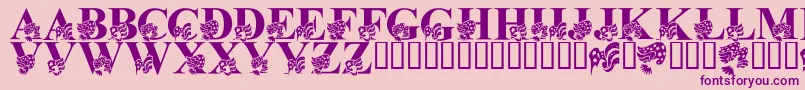 LmsAmericaLsf Font – Purple Fonts on Pink Background