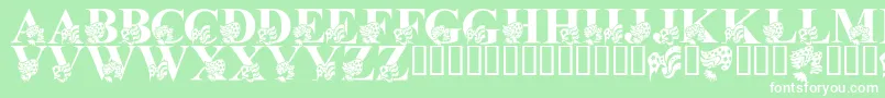 LmsAmericaLsf Font – White Fonts on Green Background