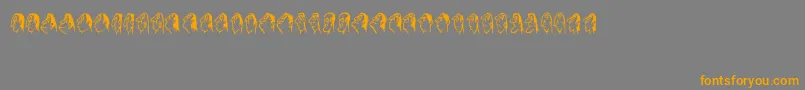Stam-Schriftart – Orangefarbene Schriften auf grauem Hintergrund
