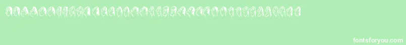 Stam Font – White Fonts on Green Background