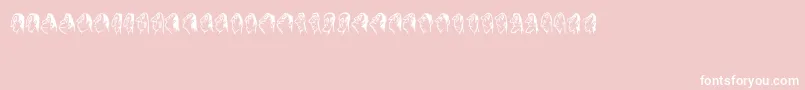 Stam Font – White Fonts on Pink Background