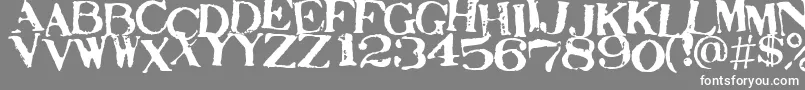 STAMAJ   Font – White Fonts on Gray Background