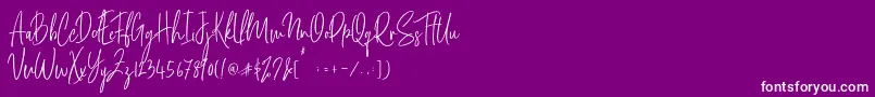 Stamford Bridge Font – White Fonts on Purple Background