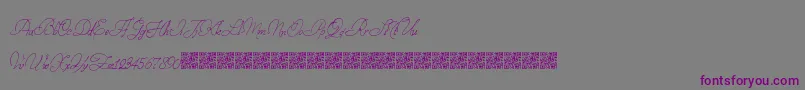 Czcionka StampedEnvelopes – fioletowe czcionki na szarym tle