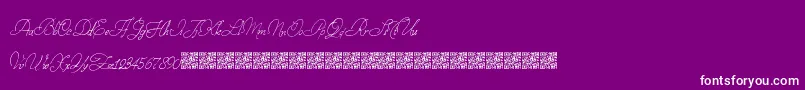 StampedEnvelopes-Schriftart – Weiße Schriften auf violettem Hintergrund