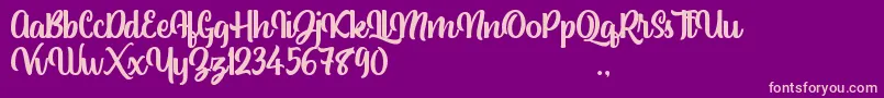 Standley Font – Pink Fonts on Purple Background