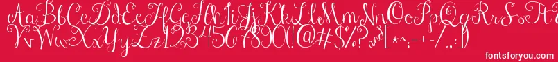 Jandastylishscript Font – White Fonts on Red Background