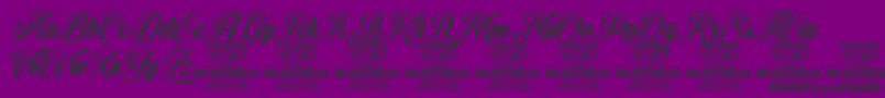 StarellaScript PERSONAL USE Font – Black Fonts on Purple Background