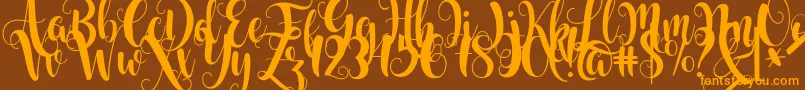 Starfish Font – Orange Fonts on Brown Background