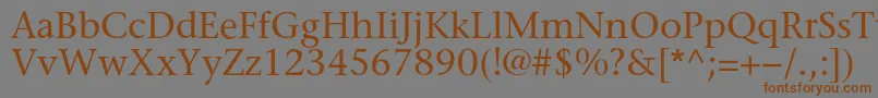 Sonetserifc Font – Brown Fonts on Gray Background