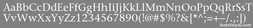 Sonetserifc Font – White Fonts on Gray Background