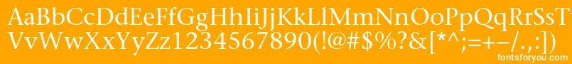 Sonetserifc Font – White Fonts on Orange Background