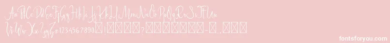 StarlightDemo Basic-Schriftart – Weiße Schriften auf rosa Hintergrund