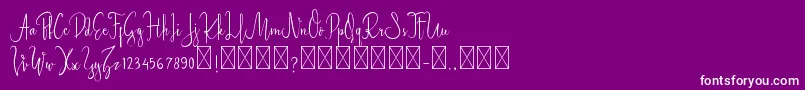 StarlightDemo Basic Font – White Fonts on Purple Background