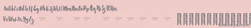 Starshine Demo-Schriftart – Graue Schriften auf rosa Hintergrund