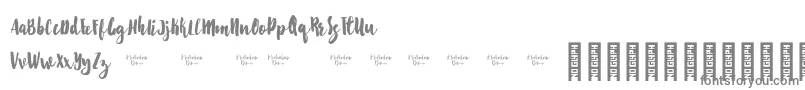 Starshine Demo-Schriftart – Graue Schriften auf weißem Hintergrund