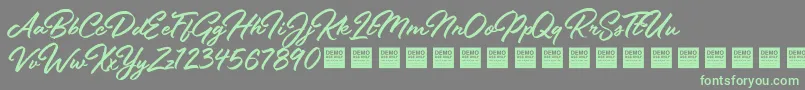 Stay Fresh   Demo-Schriftart – Grüne Schriften auf grauem Hintergrund