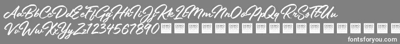 Stay Fresh   Demo-Schriftart – Weiße Schriften auf grauem Hintergrund