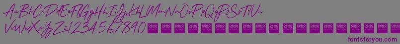 Stay Rad   Demo-Schriftart – Violette Schriften auf grauem Hintergrund