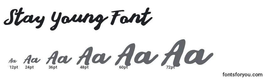 Размеры шрифта Stay Young Font