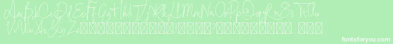 StayOntheway Font – White Fonts on Green Background