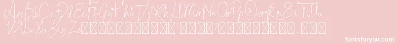 StayOntheway-Schriftart – Weiße Schriften auf rosa Hintergrund