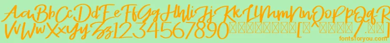 Stayrlight Demo Font – Orange Fonts on Green Background