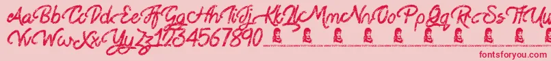 Steady Rain Font – Red Fonts on Pink Background