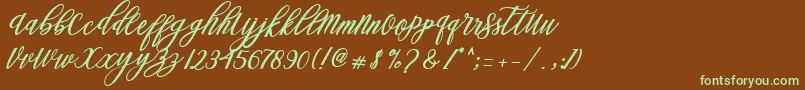 Steady Font – Green Fonts on Brown Background