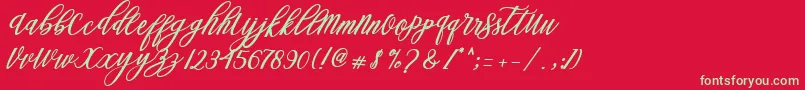 Steady Font – Green Fonts on Red Background