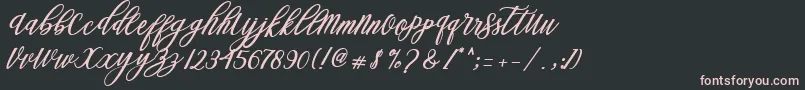 Steady Font – Pink Fonts on Black Background