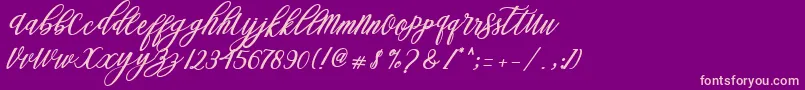Steady Font – Pink Fonts on Purple Background