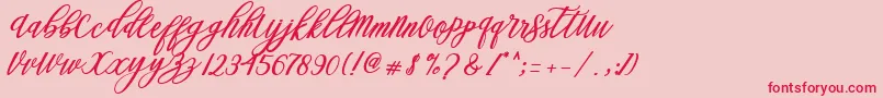 Steady Font – Red Fonts on Pink Background