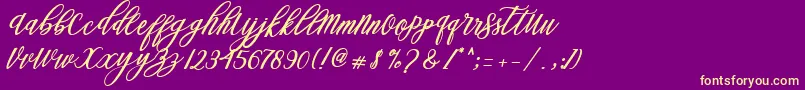 Steady Font – Yellow Fonts on Purple Background