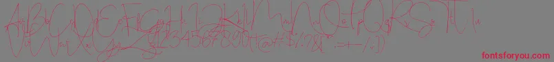 フォントStealletto – 赤い文字の灰色の背景