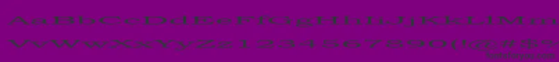 steamroller Font – Black Fonts on Purple Background