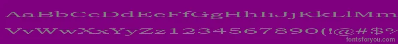 steamroller Font – Gray Fonts on Purple Background
