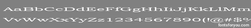 steamroller Font – White Fonts on Gray Background