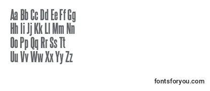 Steelfish eb-fontti