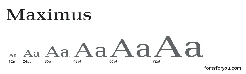 Maximus Font Sizes