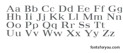 Обзор шрифта Maximus