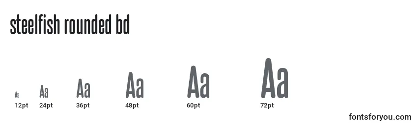 Steelfish rounded bd Font Sizes