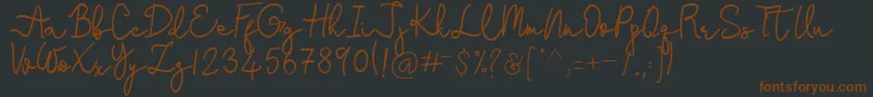En savoir plus sur la police Stefani Police Stefani – polices brunes sur fond noir