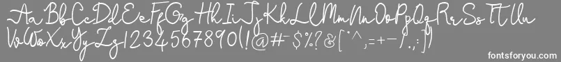 Stefani Font – White Fonts on Gray Background