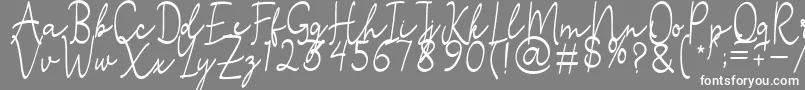 Stefian Script 2 Font – White Fonts on Gray Background
