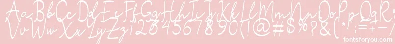 Stefian Script 2-fontti – valkoiset fontit vaaleanpunaisella taustalla