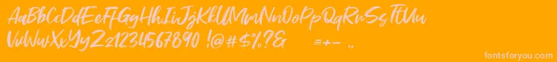 fuente Stefont – Fuentes Rosadas Sobre Fondo Naranja